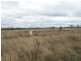 . Kingsthorpe Haden Road, Boodua QLD 4401