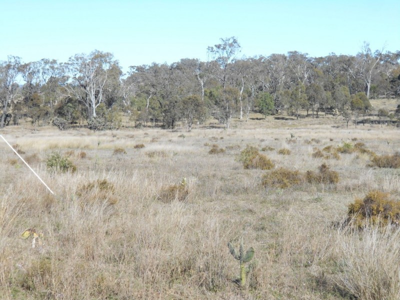 . Kingsthorpe Haden Road, Boodua QLD 4401