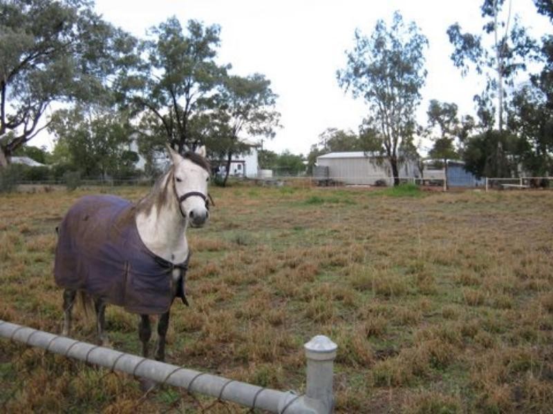 33 Richardson Street, Dirranbandi QLD 4486