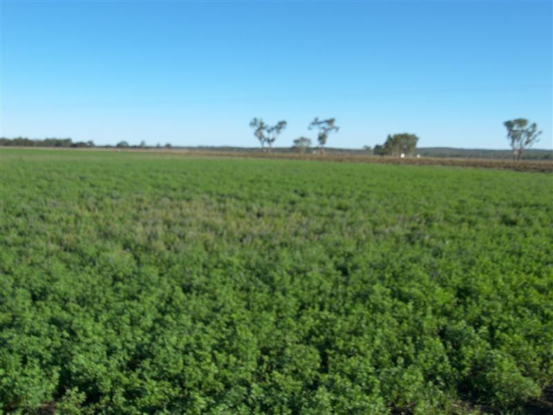 Allora QLD 4362