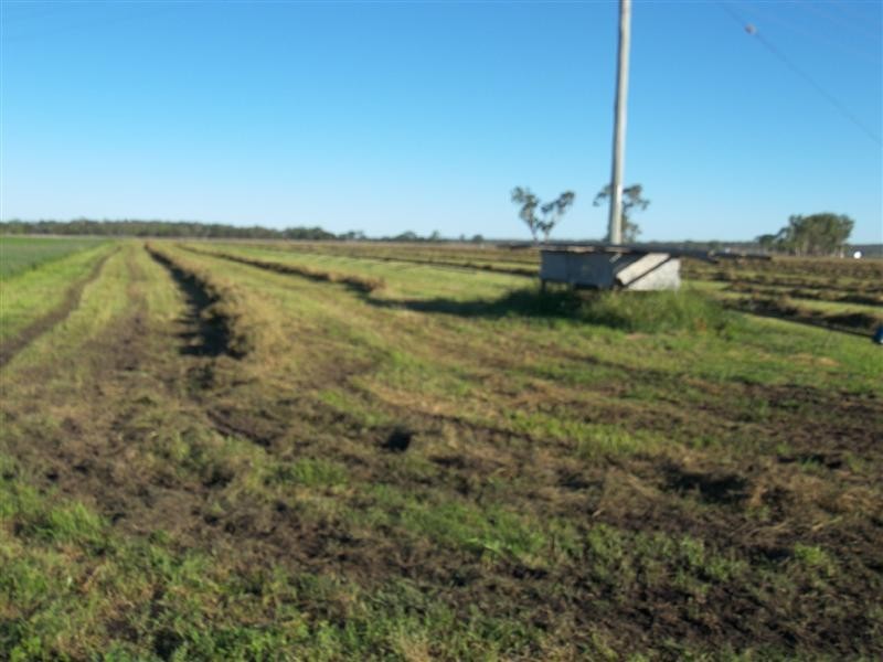Allora QLD 4362