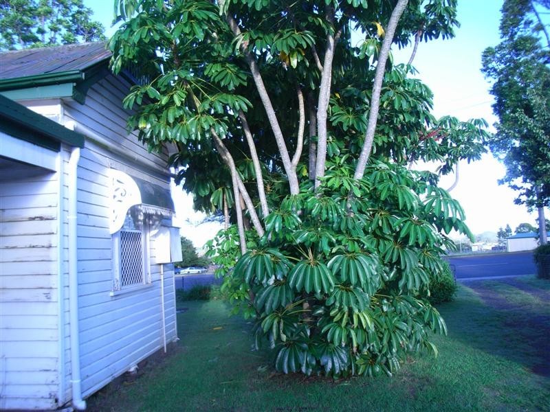 58 Gipps Street, Drayton QLD 4350