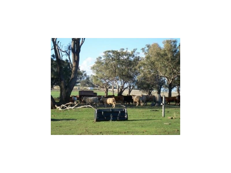 . Elphinstone Road, Allora QLD 4362