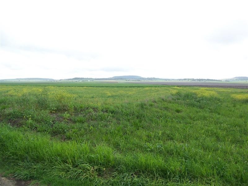 208. Watts Siding Rd, Cambooya QLD 4358