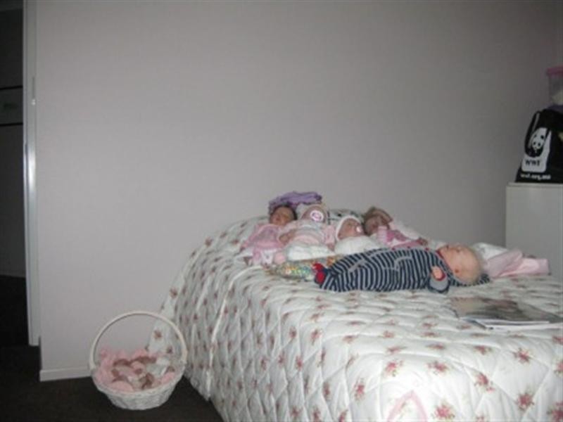 1. Ashley Court, Highfields QLD 4352