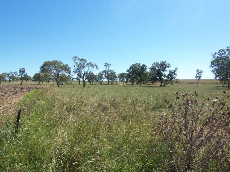 99 Mt Sibley Road, Nobby QLD 4360