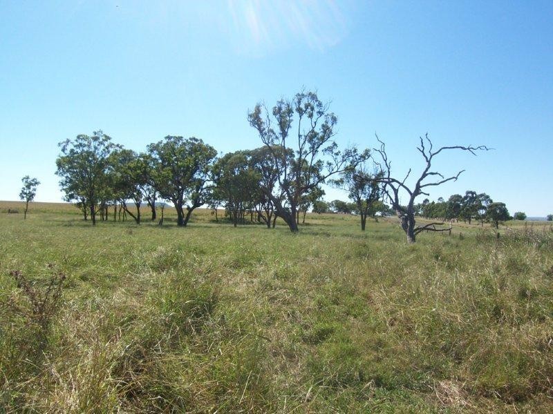 99 Mt Sibley Road, Nobby QLD 4360