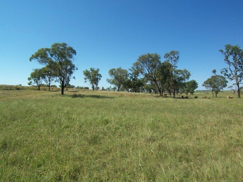 99 Mt Sibley Road, Nobby QLD 4360