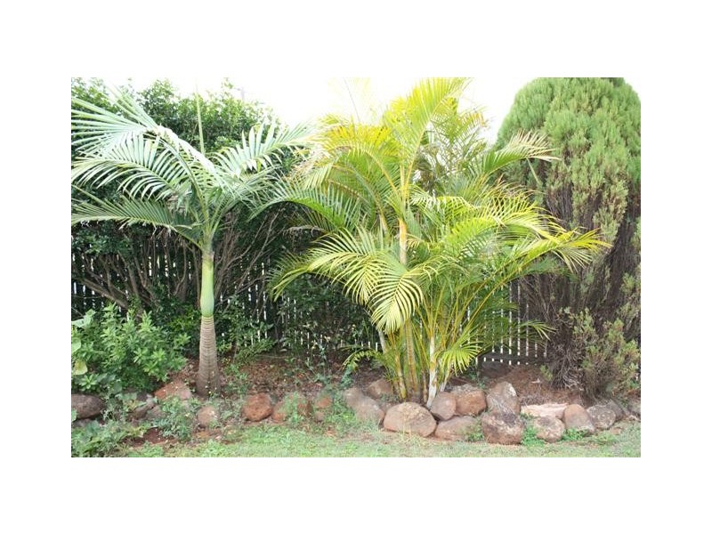 347 Greenwattle Street, Wilsonton QLD 4350