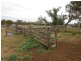 202 Drayton Wellcamp Rd, Glenvale QLD 4350
