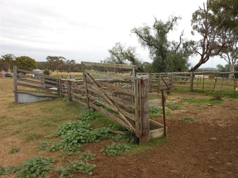 202 Drayton Wellcamp Rd, Glenvale QLD 4350