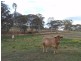 206 Ramsay School Road, Ramsay QLD 4358