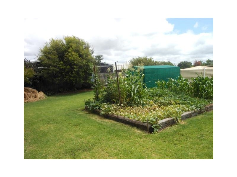 13 Bunya View Drive, Highfields QLD 4352