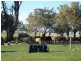 Crn Drayton and Merivale St, Allora QLD 4362