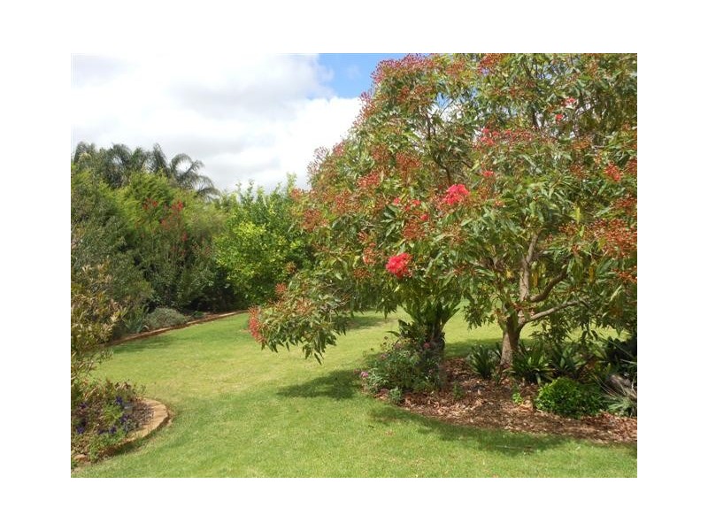 13 Bunya View Drive, Highfields QLD 4352