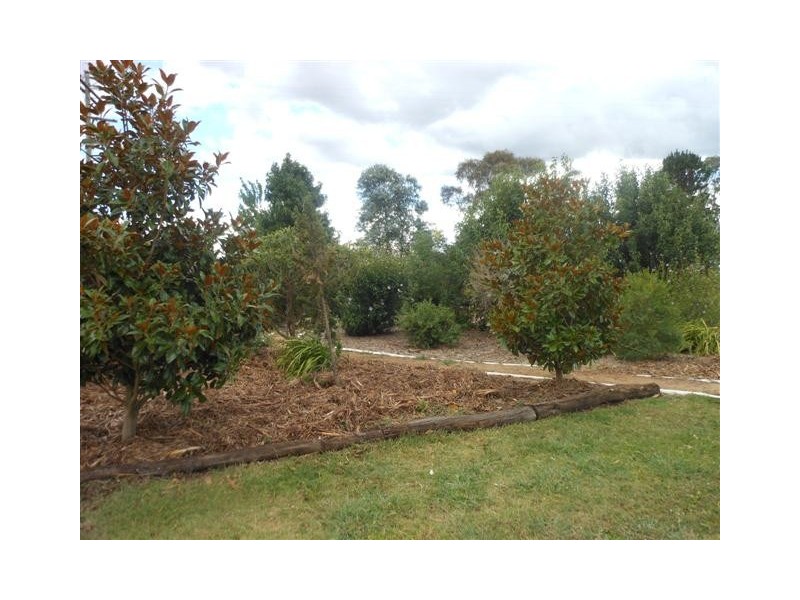 201 Dungannon Road, Clifton QLD 4361