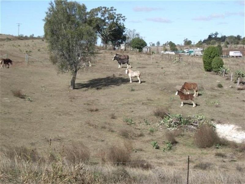 1006 Haden/Peranga Road, Haden QLD 4353