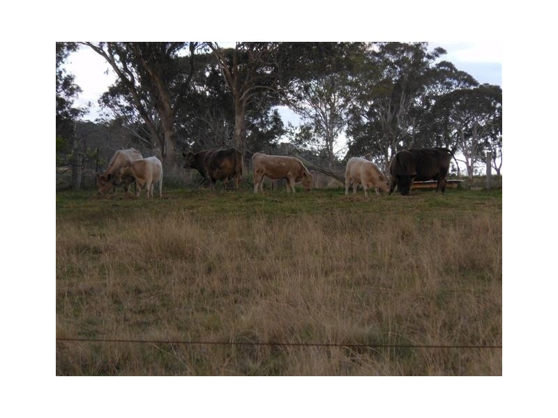 206 Ramsay School Road, Ramsay QLD 4358