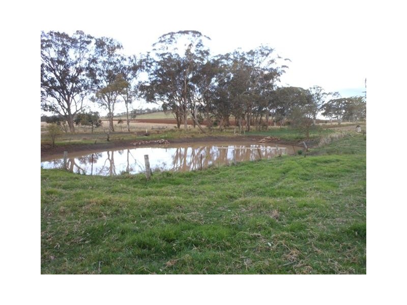 206 Ramsay School Road, Ramsay QLD 4358