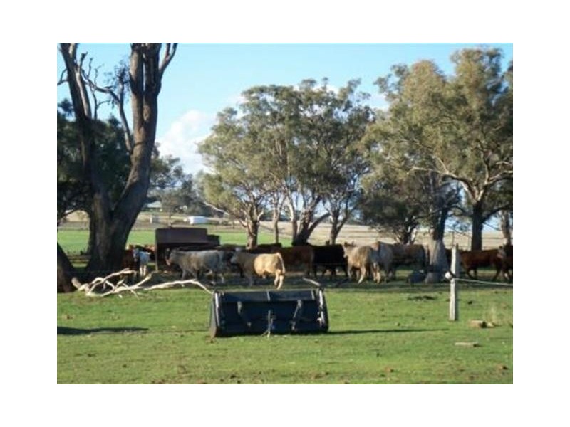 Crn Drayton Rd and Merivale St, Allora QLD 4362