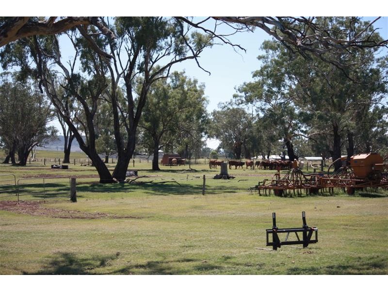 Crn Drayton Rd and Merivale St, Allora QLD 4362