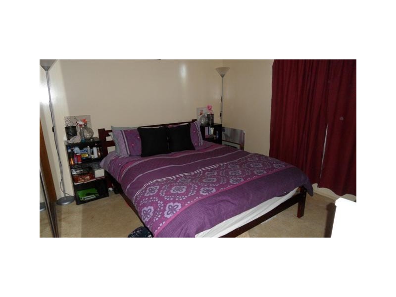 17 Poinciana Street, Newtown QLD 4350