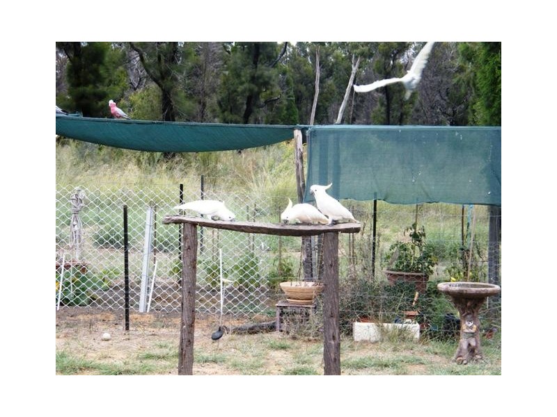 241 Koala Drive, Cypress Gardens QLD 4357