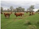 2702 Toowoomba Cecil Plains Road, Aubigny QLD 4401