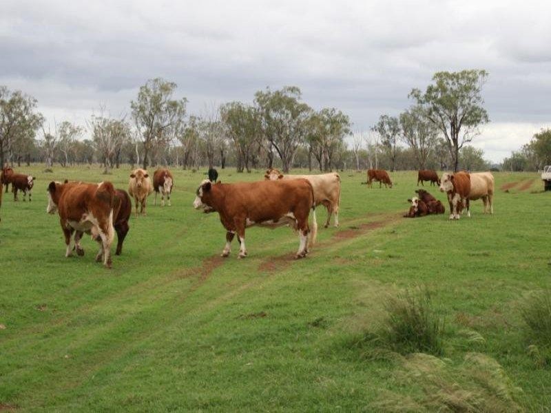 2702 Toowoomba Cecil Plains Road, Aubigny QLD 4401