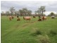 2702 Toowoomba Cecil Plains Road, Aubigny QLD 4401