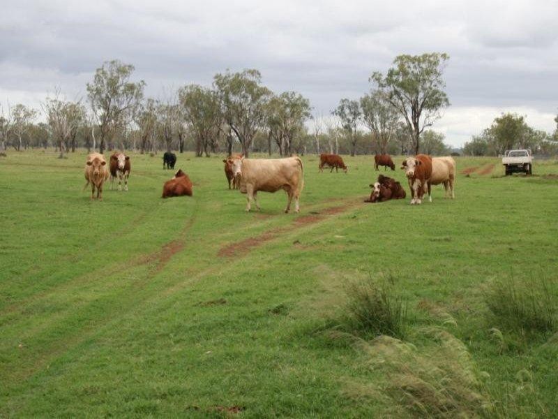 2702 Toowoomba Cecil Plains Road, Aubigny QLD 4401