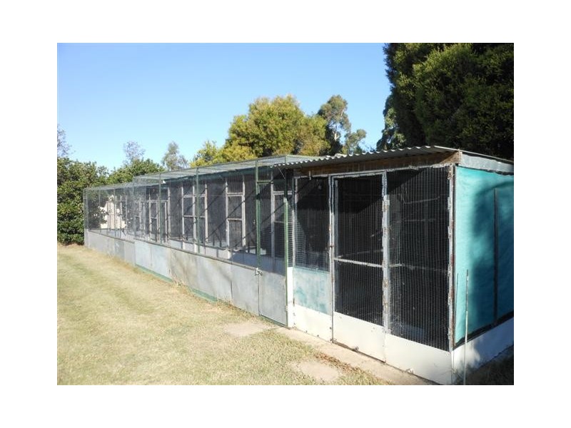 1194 Clifton-Pittsworth Rd, Clifton QLD 4361