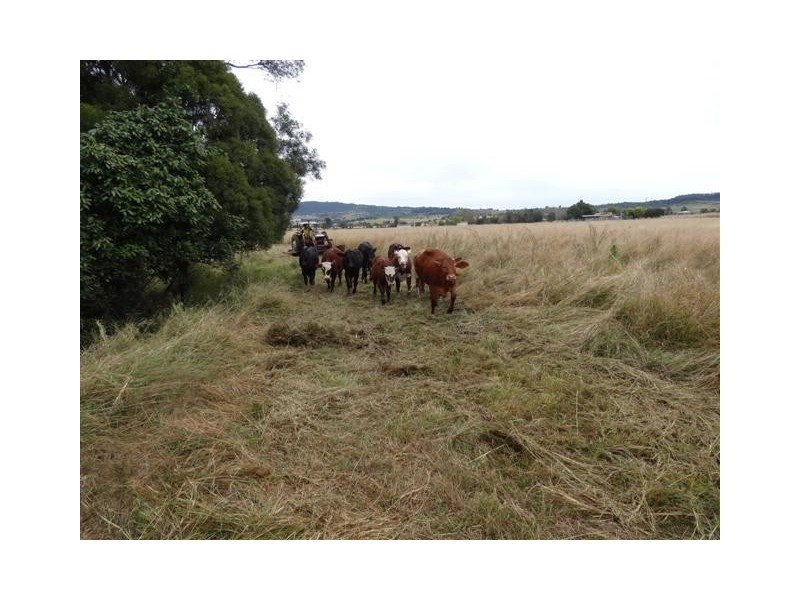 163 Rosewood Laidley Road, Rosewood QLD 4340