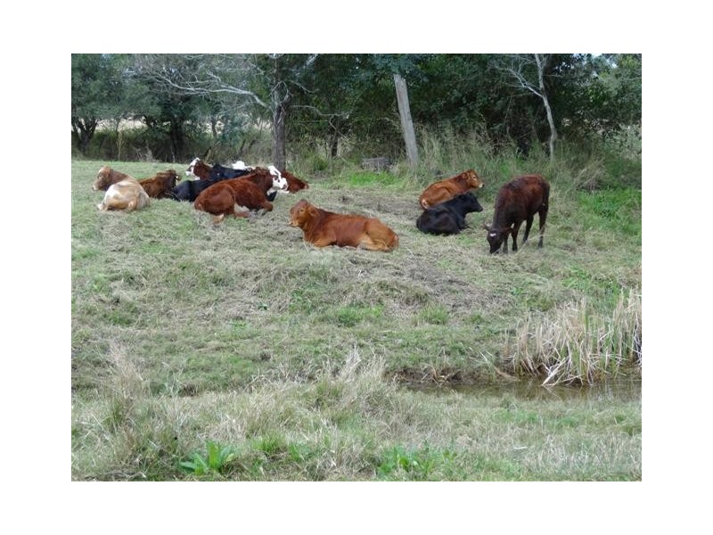 163 Rosewood Laidley Road, Rosewood QLD 4340