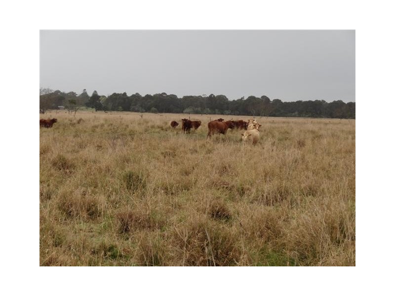 163 Rosewood Laidley Road, Rosewood QLD 4340