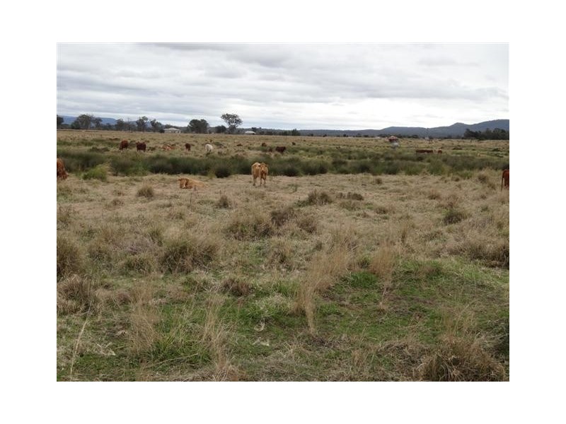 163 Rosewood Laidley Road, Rosewood QLD 4340