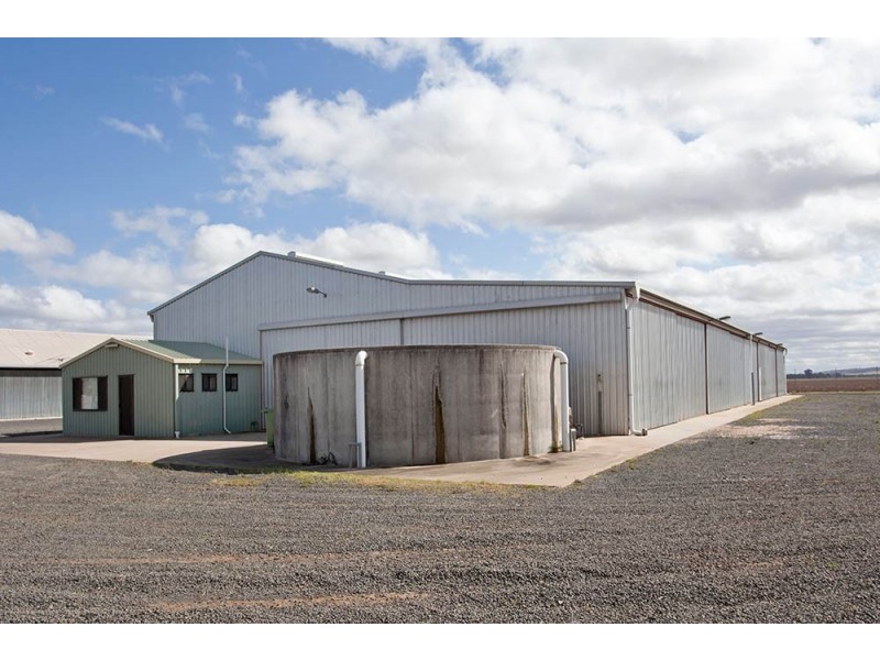 1 Ross Street, Oakey QLD 4401