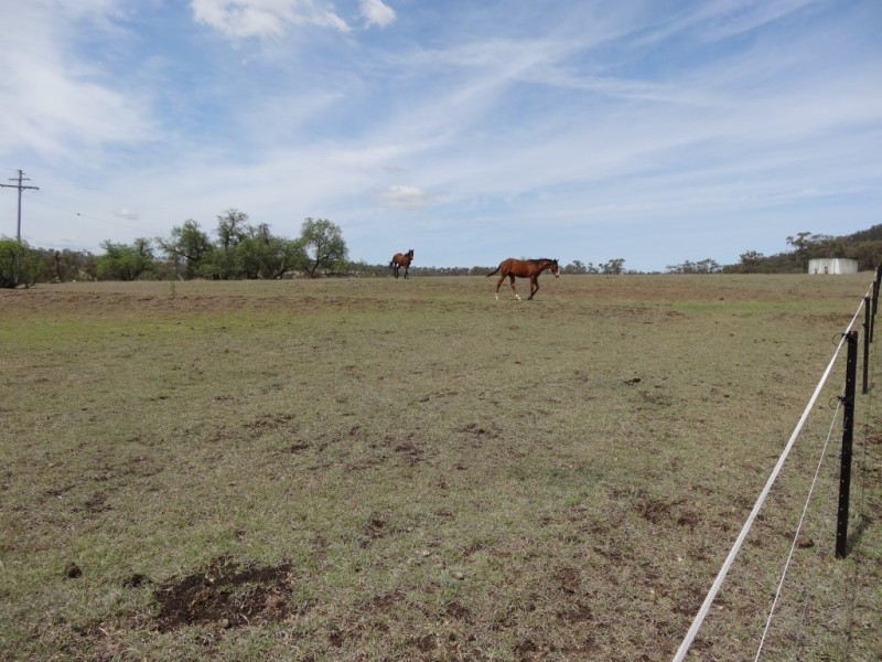 869 Saddletop Road, Upper Pilton QLD 4361