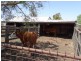 142 Ryan Road, Aubigny QLD 4401