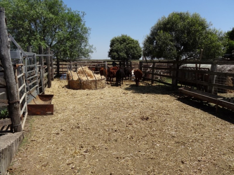 142 Ryan Road, Aubigny QLD 4401