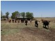 142 Ryan Road, Aubigny QLD 4401