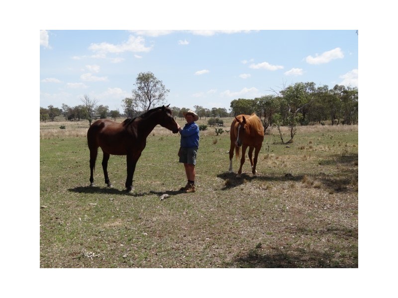 157 Malu Road, Malu QLD 4403