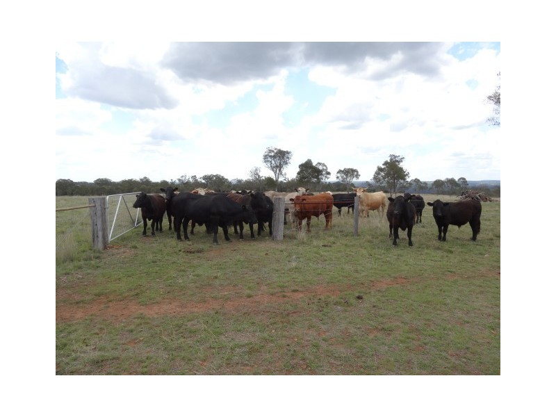 Groomsville QLD 4352