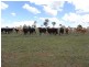 Groomsville QLD 4352