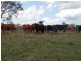 Groomsville QLD 4352