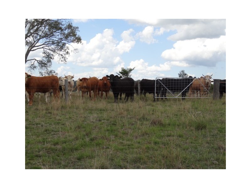 Groomsville QLD 4352