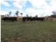 Groomsville QLD 4352