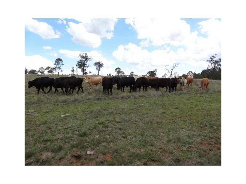 Groomsville QLD 4352