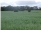 Groomsville QLD 4352