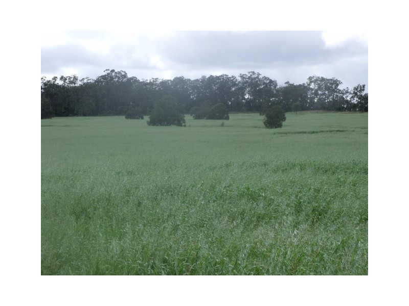 Groomsville QLD 4352